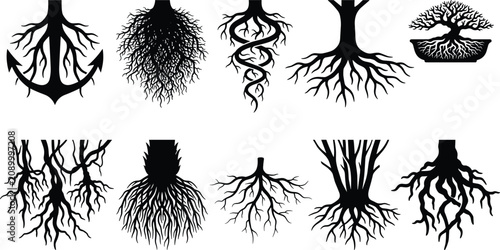 Tableau sur toile Collection of Plant Root System Silhouettes Featuring Fibrous, Taproot, and Deco