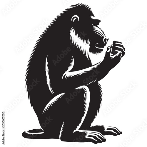 Photos Mandrill, Mandrill, Baboon, Primate, Monkey, Wildlife, Nature, Jungle, Rainforest, Forest, Africa, Colorful, Face, Wild, Intelligent, Curious, Social, Family, Troop, Mammal, Rare, Amazing, Adventint