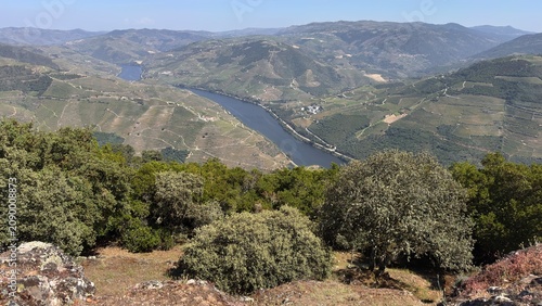 View of a river winding through green hills in a valley during a sunny day, Portugal