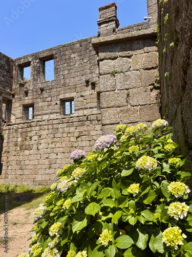 Old stone walls surround blooming flowers in a historical site on a sunny day, Portugal
