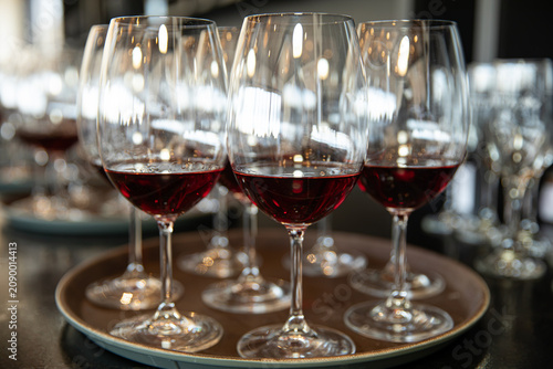 Cuadro en lienzo Multiple glasses of red wine arranged on a tray for a tasting event