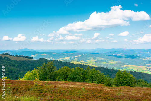mountainous countryside scenery in the afternoon. view of cloudy sky above the valley. colorful meadows and trees on hill in dappled light. beautiful nature scenery of carpathians. remote outdoors