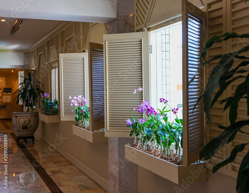 wooden-framed window adorned with potted flowering orchid plants.