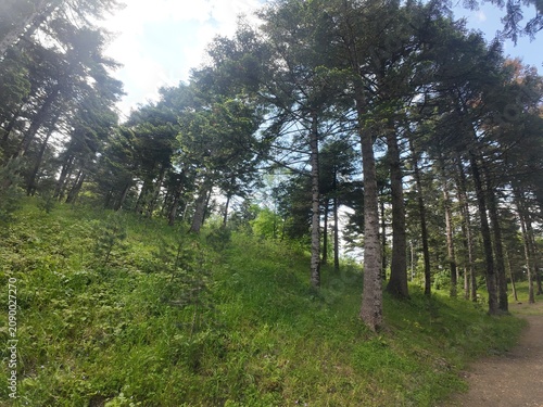 A wonderful photo taken in the untouched nature of the Black Sea region.