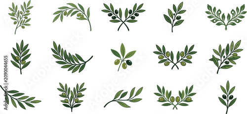 Olive branch collection for patriot day memorials peace symbolism and remembrance graphics