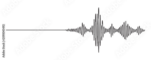 Valokuva Sound wave graphic representing audio visualization with varying amplitude and frequency over time on a grid