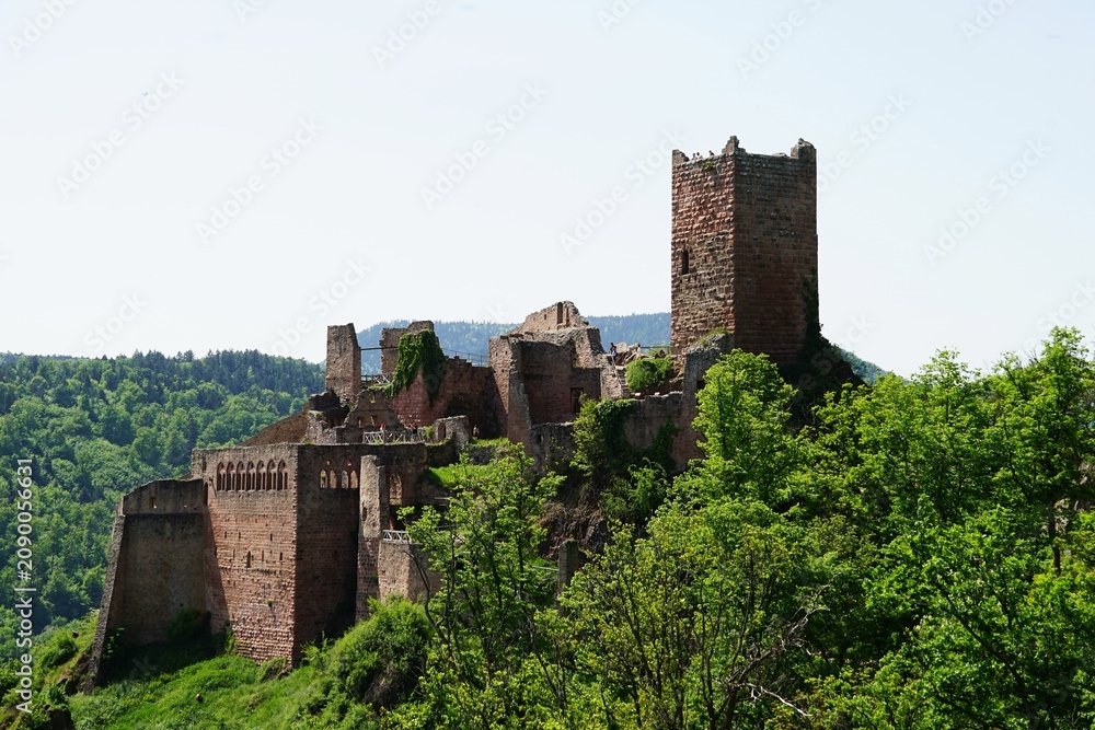 Obraz premium Ruins of Château de Saint-Ulrich in Alsace, France