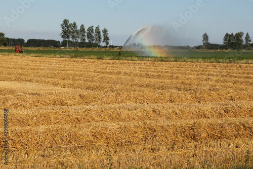 a field with big rows of straw and a rainbowing irrigation reel in the background in the countryside in summer