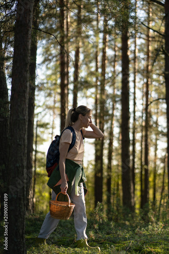 Woman searcher foraging in nature, walking in forest with basket harvesting mushrooms and plants, sustainable hobby and natural food harvest, female finder exploring woodlands gathering fungi.