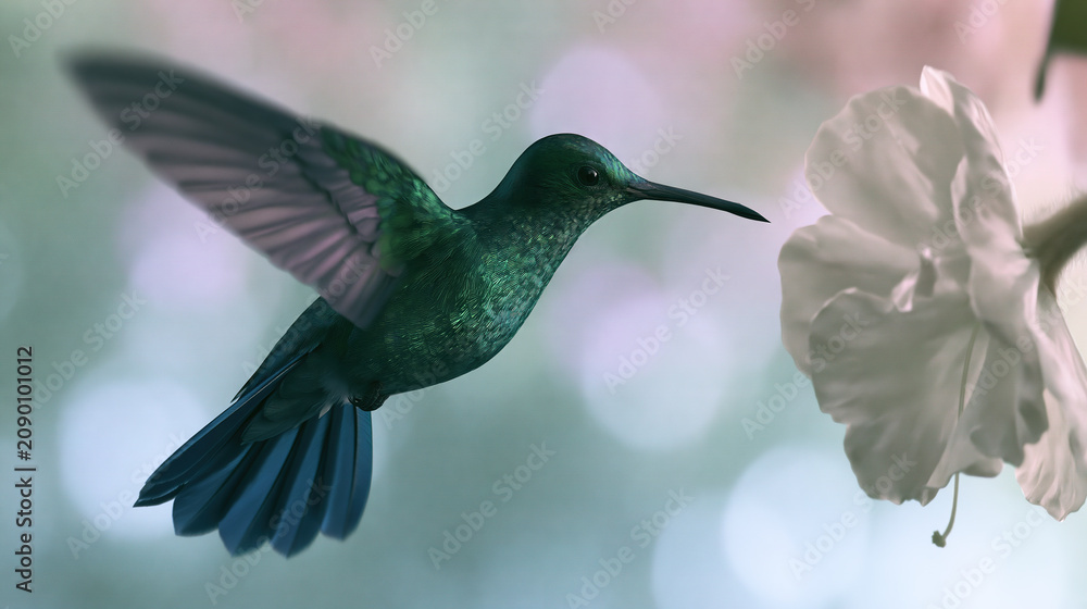 Fototapeta premium Hummingbird Hovering Near White Flower