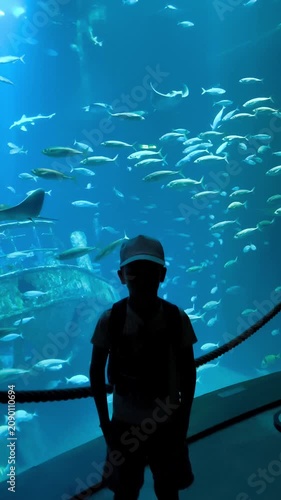 Silhouette of a young boy looking at fish and stingrays swimming in a large aquarium tank