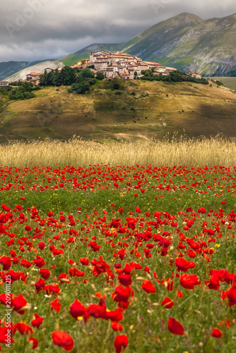фотографія A vibrant field of blooming red poppies leads the eye toward a rustic hilltop village nestled within rolling mountains