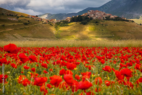 Foto A vibrant field of red poppies stretches across the foreground in front of a historic stone village perched atop a green hill under a dramatic sky filled with summer clouds