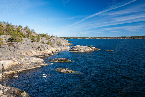Fotografía Mute swan on the blue Baltic Sea below rocky cliffs at Lövhagen, Nynäshamn, Swed