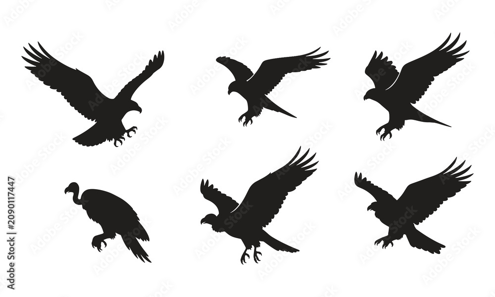 Fototapeta premium Collection of Minimalist Vector Animal, Bird, Fish and Butterfly Illustrations, Editable Flat Wildlife Icon Set Featuring Lion, Tiger, Elephant, Deer, Eagle, Owl, Dolphin, Whale, Tropical Fish, Insect