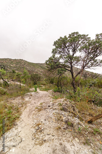 Paisagem natural na cidade de Grão Mogol, Estado de Minas Gerais, Brasil