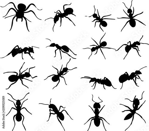 Vector sketch illustration silhouette design background pattern of a group of ants with antennae and pincers in a group looking for food