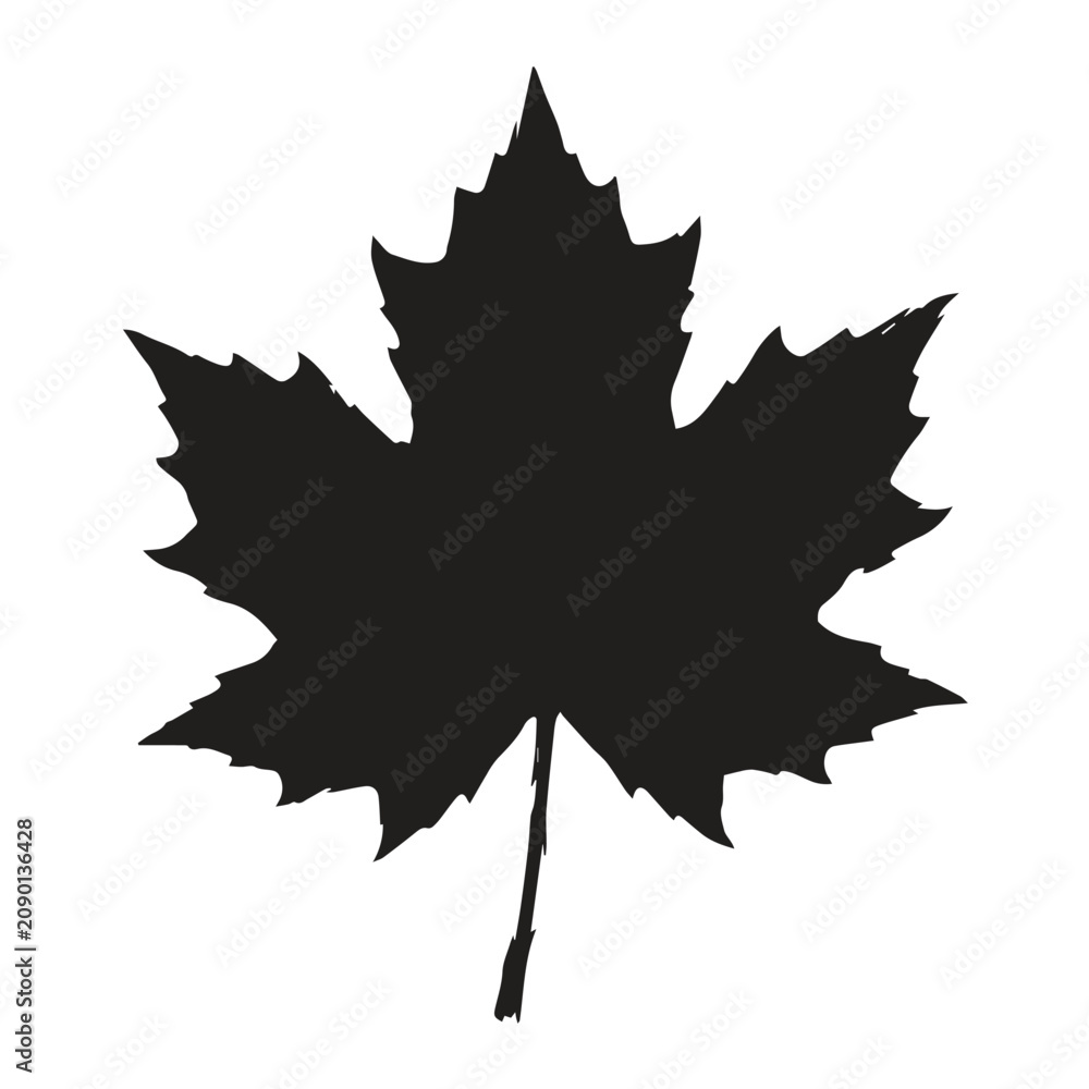 Fototapeta premium Black and white graphic icon of a single sharp maple leaf with silhouette