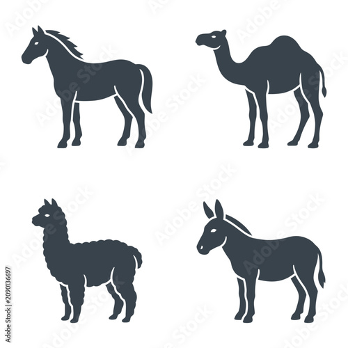Horse camel llama donkey animal silhouettes.
