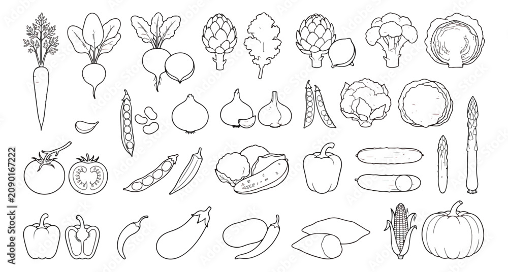 Fototapeta premium Minimalist vegetable line art icons, hand drawn garden produce vector set, black and white organic food illustrations for healthy menu design