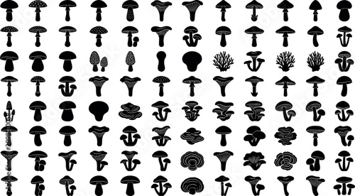 Obraz na płótnie Large collection of wild mushroom silhouettes edible fungus icons and autumn forest botanical graphic design elements isolated on white background