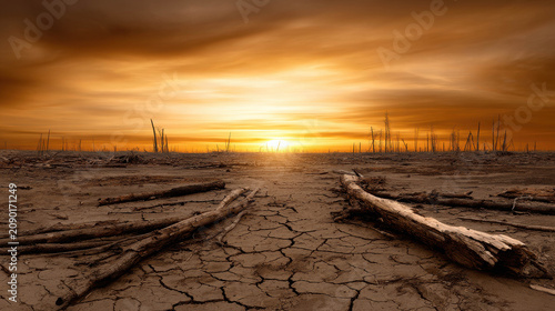 A stark image of a barren, cracked earth landscape under a dramatic sunset, with dead trees scattered across the scene, evoking a sense of desolation and environmental crisis.