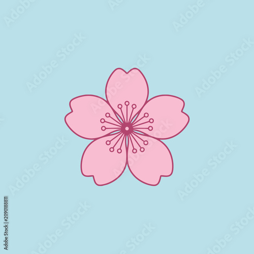 A simple pink cherry blossom flower on a light blue background