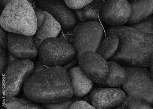 Photography black and white pebbles