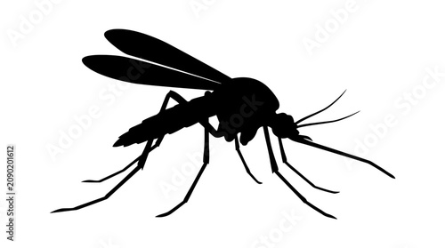 Black silhouette of a mosquito insect.