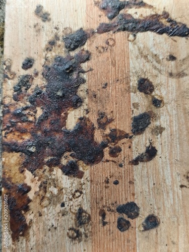 mango tree sap fell on the ceramic garden chair and dried 
