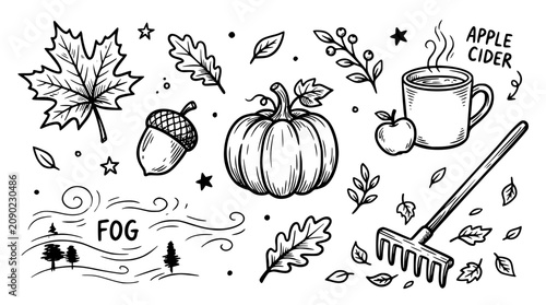 Hand drawn autumn season elements maple leaf acorn pumpkin apple cider rake fog, black ink sketch vector illustration

