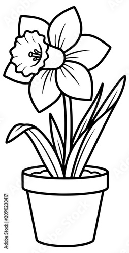 Fotografie flower, pot, plant, spring, isolated, hyacinth, blossom, nature, pink, orchid, f