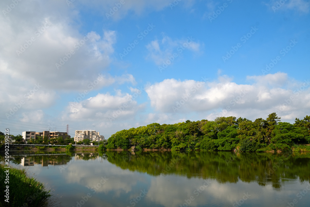Fototapeta premium 池の上空に大きな雲が浮かぶ初夏の風景