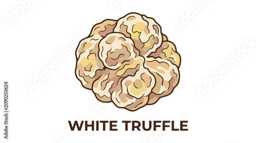 Stylized illustration of a rare white truffle, a prized aromatic edible fungus used as a luxury gourmet ingredient to elevate sophisticated culinary creations