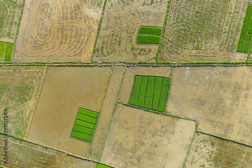 Aerial Top-Down View of Plowed Muddy Rice Paddies and Green Seedbeds in Aceh, Sumatra, Indonesia
