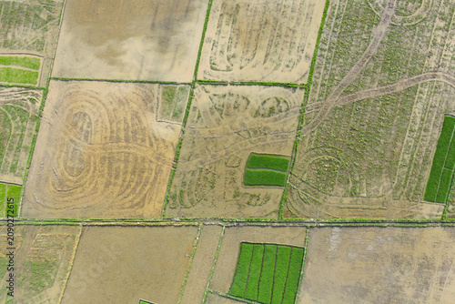 Aerial Top-Down View of Plowed Muddy Rice Paddies and Green Seedbeds in Aceh, Sumatra, Indonesia