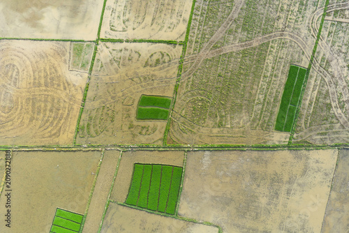 Aerial Top-Down View of Plowed Muddy Rice Paddies and Green Seedbeds in Aceh, Sumatra, Indonesia