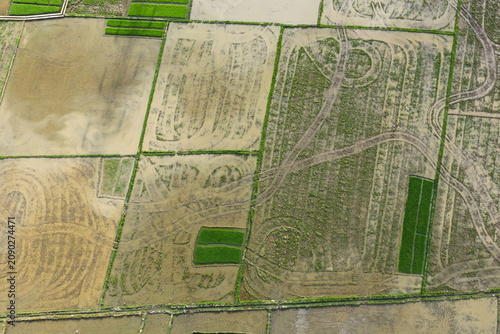 Aerial Top-Down View of Plowed Muddy Rice Paddies and Green Seedbeds in Aceh, Sumatra, Indonesia