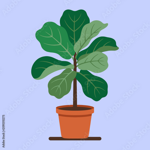 A green potted houseplant stands against a light blue background
