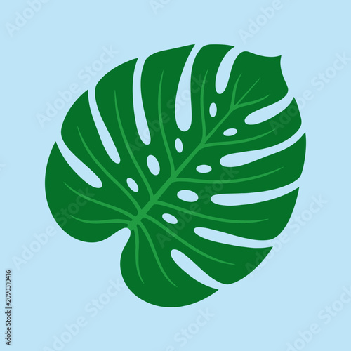 A single green tropical leaf isolated on a light blue background