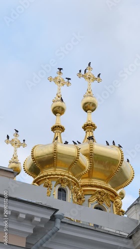 Large gathering of hooded crows on domes of church in town, wild birds fly over roof and sitting on crosses preparing for night rest, ornithology and birdwatching, behavior of corvids in urban city.