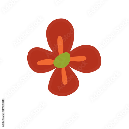 red flower isolated on white