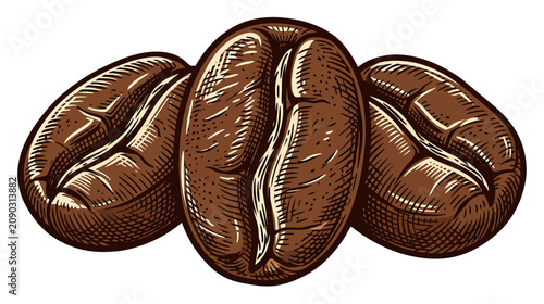 Valokuva Coffee Beans Illustration - Close-up of three roasted coffee beans with detailed