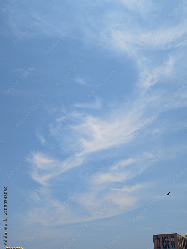 Fototapeta premium White Clouds and An Eagle Over the Rooftop 
