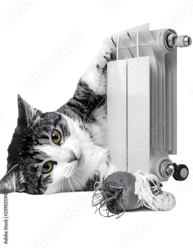 A curious cat peeks from behind a shiny radiator with a ball of yarn