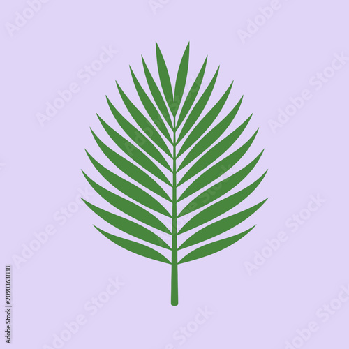 A vibrant green palm leaf isolated on a soft purple background