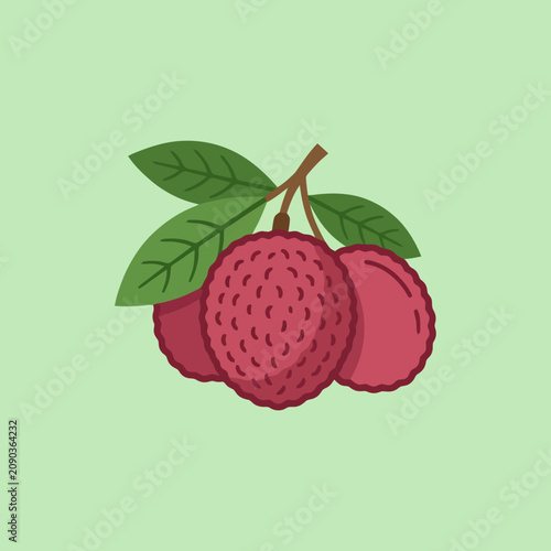 Vector illustration of fresh lychee fruit with green leaves