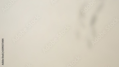 Принти на полотні Soft Shadow Leaf Overlay Background