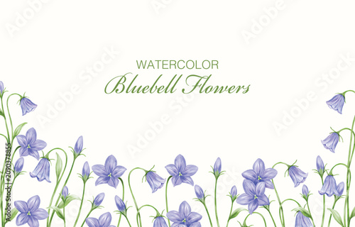 Watercolor Bluebell Flowers as Background Frame