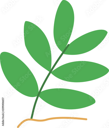 Green Leaf Stem
